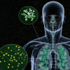 Illustration of a human figure showing respiratory system with a close-up of mold spores in the airways."