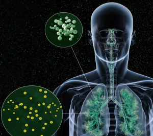 Illustration of a human figure showing respiratory system with a close-up of mold spores in the airways."