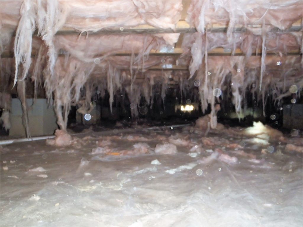 Image of a damp crawl space with deteriorating insulation and signs of mold growth